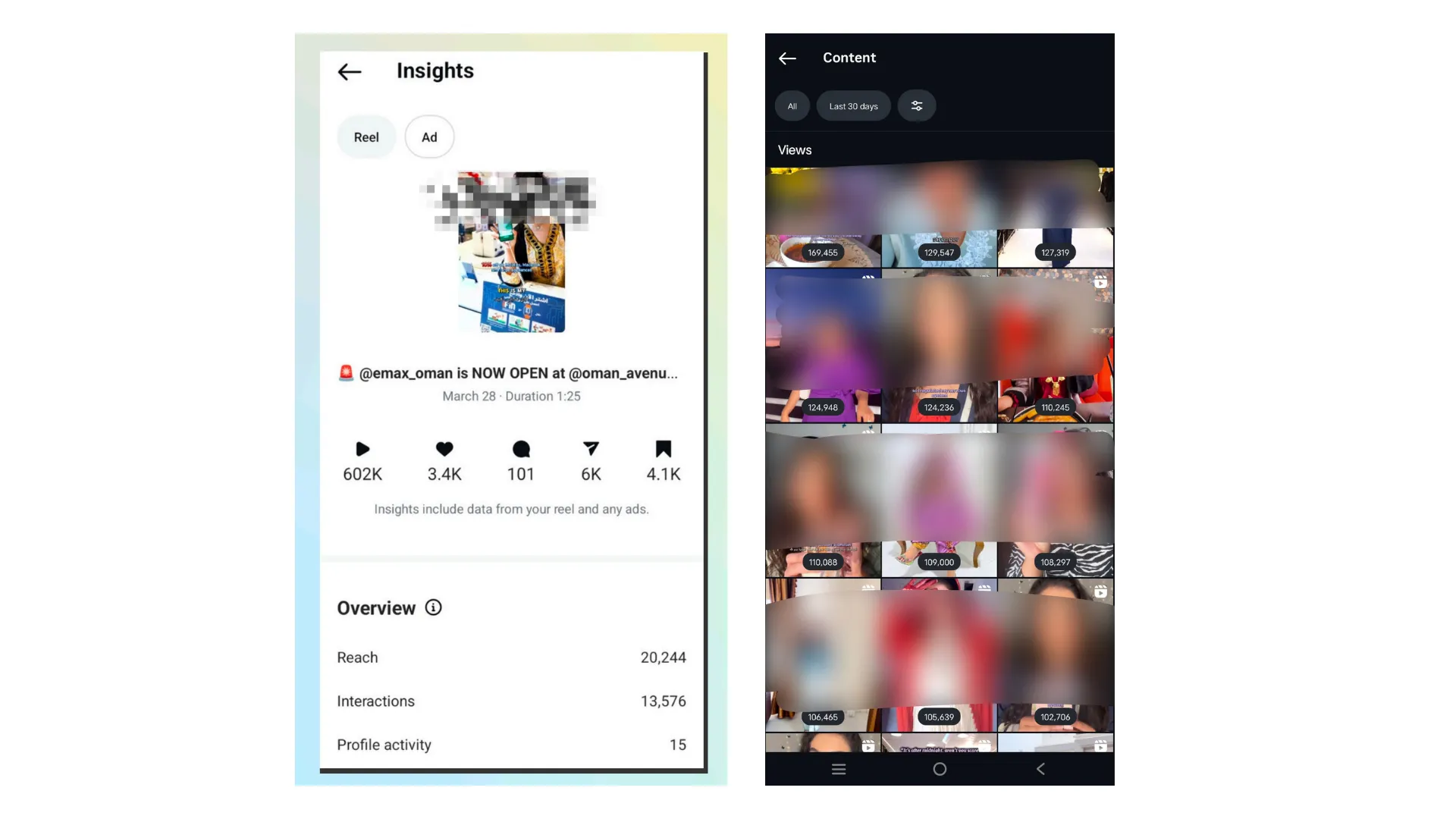 Meta Ad Campaign Demographics
